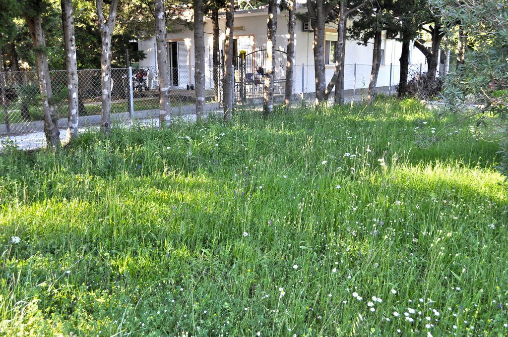 Vila Branka Čanj 外观 照片